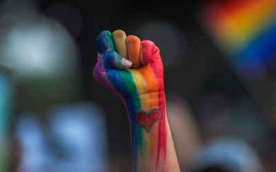 Diritti LGBT in carta costituzionale Olandese